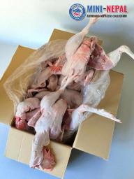 FRESH LOCAL BHALE 1KG