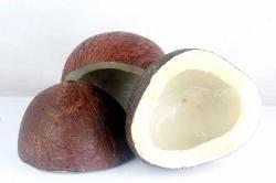 Dry Coconut Half Cut 2 piece 