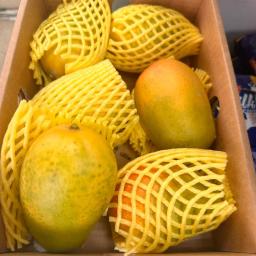 Keshar Mango Case
