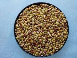 Yellow Peyin Beans MOTH BEANS 1kg