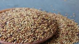 Gahat Dal (Horse Gram)1Kg 