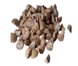 Supari(Betel Nut) 100G