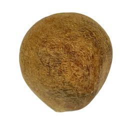 Dry Coconut 