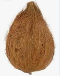 Coconut For Puja, Jatta Wala Nariwal