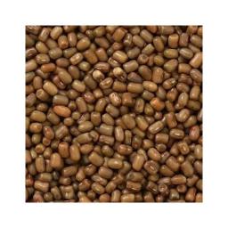 Maysang Dal (Moth Bean)