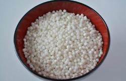 Sabudana (Sago seed) 1 kg