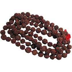 5 Mukhi Rudraksha Japa mala 50++