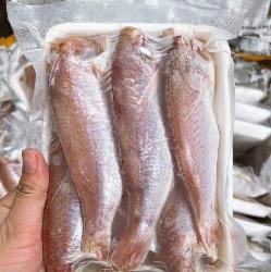 Cá phèn hồng 500g