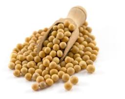 seto bhatta, SOYA BEAN 1kg