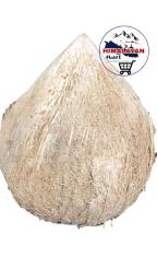 Fresh Whole Coconut 