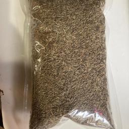 Cumin Whole (500g)