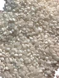 Japani Small Rice 10 Kg  GFRADE B